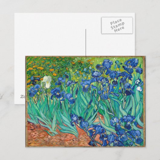 VINCENT VAN GOGH - Irises 1889 Briefkaart (Voorkant / Achterkant)