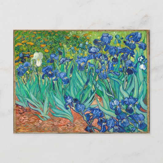 VINCENT VAN GOGH - Irises 1889 Briefkaart (Voorkant)