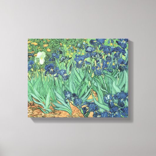 Vincent van Gogh | Irises, 1889 Canvas Afdruk (Voorkant)