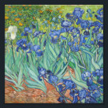 Vincent Van Gogh - Irises 1889 Foto Afdruk<br><div class="desc">Vincent Van Gogh - Irises 1889</div>