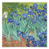 Vincent Van Gogh - Irises 1889 Foto Afdruk (Voorkant)