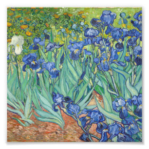 Vincent Van Gogh - Irises 1889 Foto Afdruk