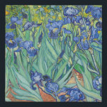 Vincent Van Gogh - Irises 1889 Imitatie Canvas Print<br><div class="desc">Vincent Van Gogh - Irises 1889</div>