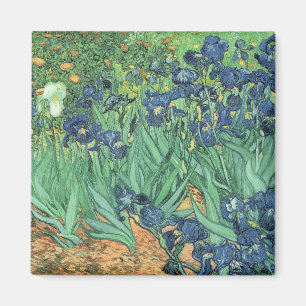 Vincent van Gogh Irises, 1889 Magneet