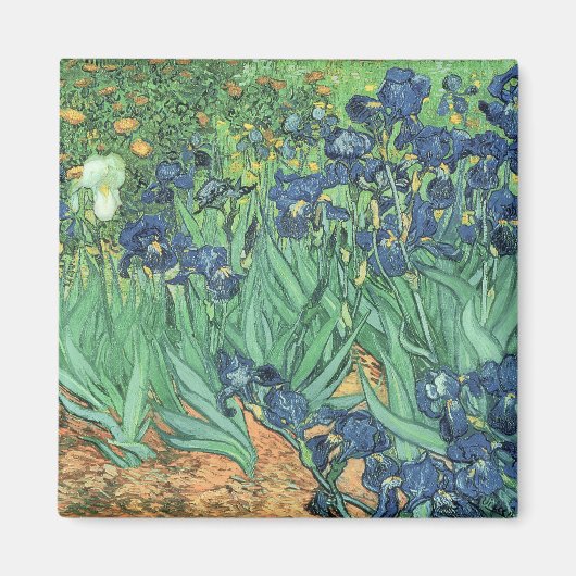 Vincent van Gogh | Irises, 1889 Magneet (Voorkant)