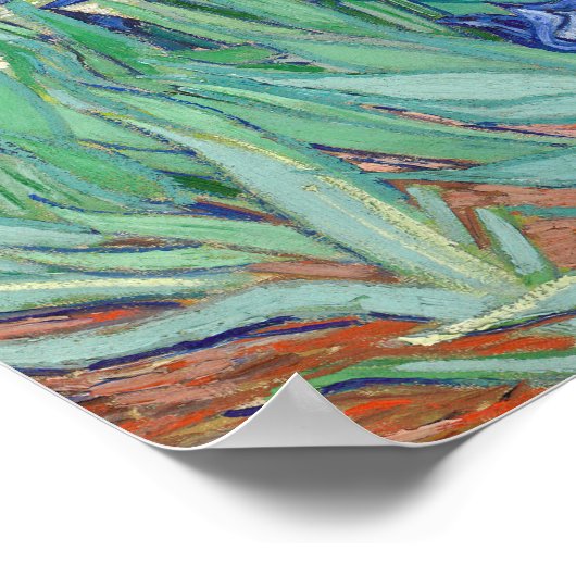 Vincent Van Gogh - Irises 1889 Poster (Hoek)