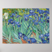 Vincent Van Gogh - Irises 1889 Poster (Voorkant)