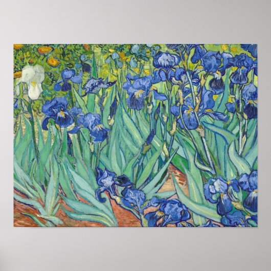 Vincent Van Gogh - Irises 1889 Poster (Voorkant)