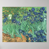 Vincent van Gogh | Irises, 1889 Poster (Voorkant)