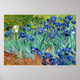 Vincent van Gogh - Irises - beroemde kunst Poster