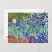 Vincent van Gogh Irises Briefkaart (Voorkant / Achterkant)