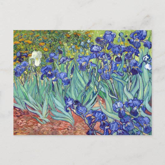 Vincent van Gogh Irises Briefkaart (Voorkant)