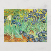 Vincent Van Gogh - Irises Briefkaart (Voorkant)