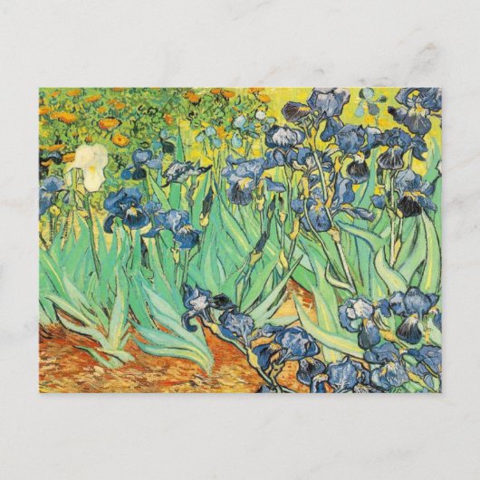 Vincent Van Gogh - Irises Briefkaart (Voorkant)