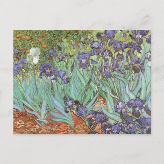 Vincent van Gogh - Irises Briefkaart (Voorkant)