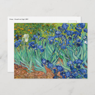 Vincent Van Gogh - Irises Briefkaart