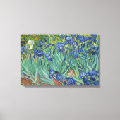 Vincent van Gogh - Irises Canvas Afdruk (Voorkant)