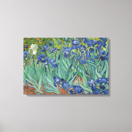 Vincent van Gogh - Irises Canvas Afdruk (Voorkant)