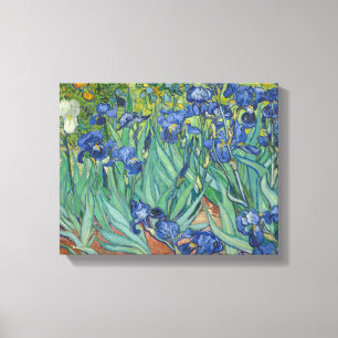 Vincent van Gogh - Irises Canvas Afdruk