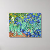 Vincent Van Gogh - Irises Canvas Afdruk (Voorkant)