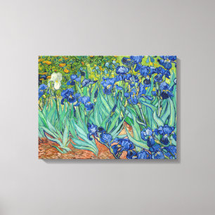 Vincent Van Gogh - Irises Canvas Afdruk