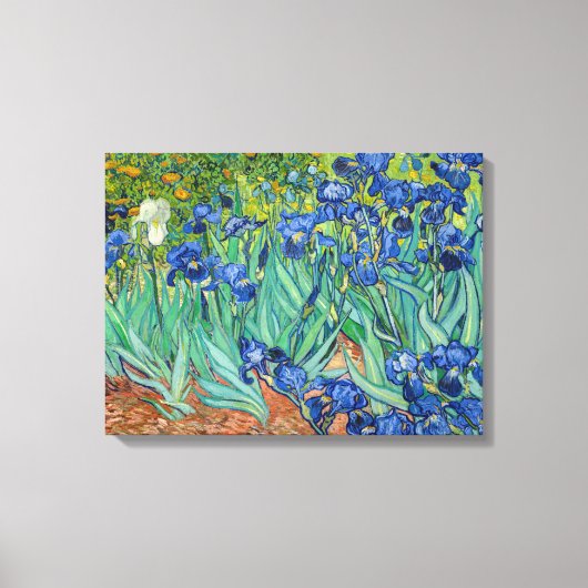 Vincent Van Gogh - Irises Canvas Afdruk (Voorkant)