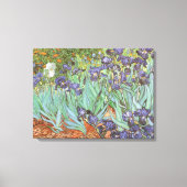 Vincent van Gogh - Irises Canvas Afdruk (Voorkant)