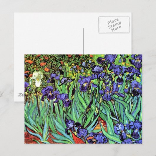 Vincent Van Gogh - Irises - Flower Lover Fine Art Briefkaart (Voorkant / Achterkant)