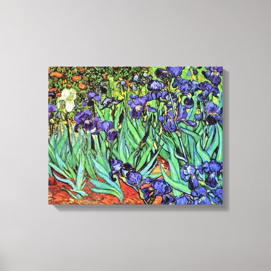 Vincent Van Gogh - Irises - Flower Lover Fine Art Canvas Afdruk (Voorkant)