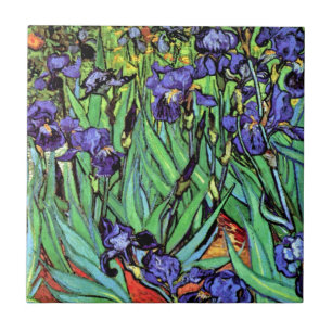 Vincent Van Gogh - Irises - Flower Lover Fine Art Tegeltje