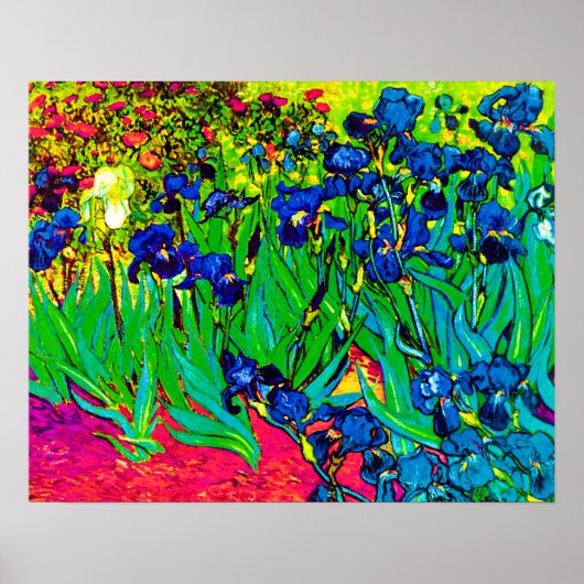 Vincent Van Gogh - Irises - Flower Lover Pop Art Poster (Voorkant)