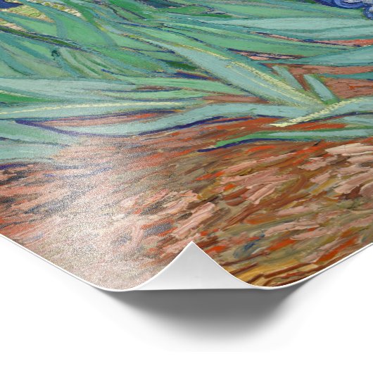 Vincent van Gogh - Irises Foto Afdruk (Hoek)