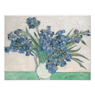 Vincent van Gogh - Irises Foto Afdruk