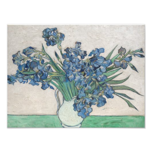 Vincent van Gogh - Irises Foto Afdruk (Voorkant)