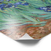 Vincent van Gogh - Irises Foto Afdruk (Hoek)