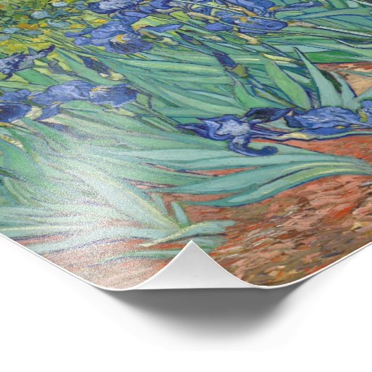 Vincent Van Gogh - Irises Foto Afdruk (Hoek)