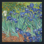 Vincent Van Gogh - Irises Foto Afdruk<br><div class="desc">Vincent Van Gogh - Irises</div>