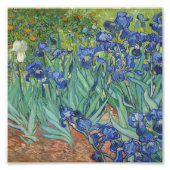 Vincent Van Gogh - Irises Foto Afdruk (Voorkant)