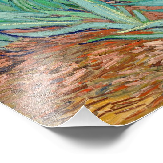 Vincent Van Gogh - Irises Foto Afdruk (Hoek)