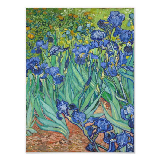 Vincent Van Gogh - Irises Foto Afdruk (Voorkant)