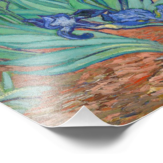 Vincent Van Gogh - Irises Foto Afdruk (Hoek)