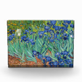 Vincent Van Gogh - Irises Fotoblokken (Voorkant)