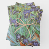 Vincent van Gogh - Irises Inpakpapier Vel (In situ)