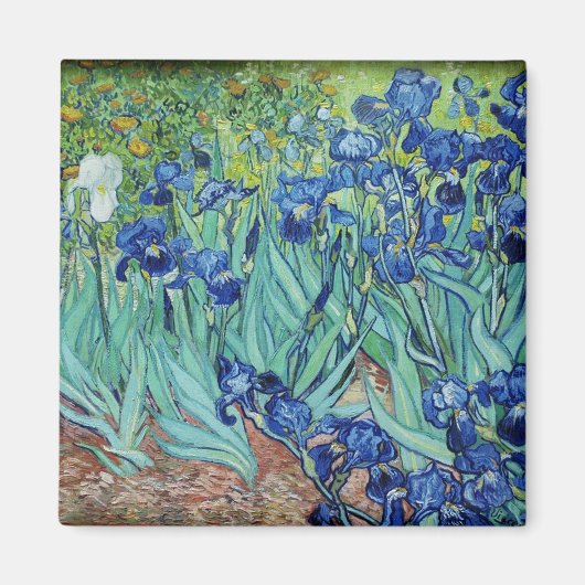 Vincent van Gogh Irises Magneet (Voorkant)