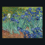 Vincent Van Gogh Irises Poster<br><div class="desc">Aanschouw de adembenemende schoonheid van Vincent Van Gogh's 'Irissen.' Dit meesterwerk legt de essentie van rust en harmonie vast met zijn levendige kleuren en delicate penseelstreken. Elk bloemblaadje lijkt te dansen in de zachte bries, het uitnodigen van kijkers in een wereld van sereniteit en verwondering. Dit iconische schilderij is een...</div>