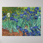 Vincent Van Gogh Irises Poster (Voorkant)