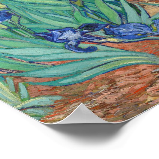 Vincent Van Gogh - Irises Poster (Hoek)