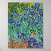 Vincent Van Gogh - Irises Poster (Voorkant)