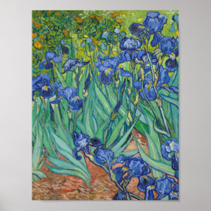 Vincent Van Gogh - Irises Poster
