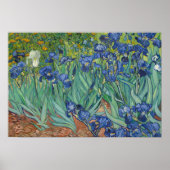 Vincent van Gogh - Irises Poster (Voorkant)